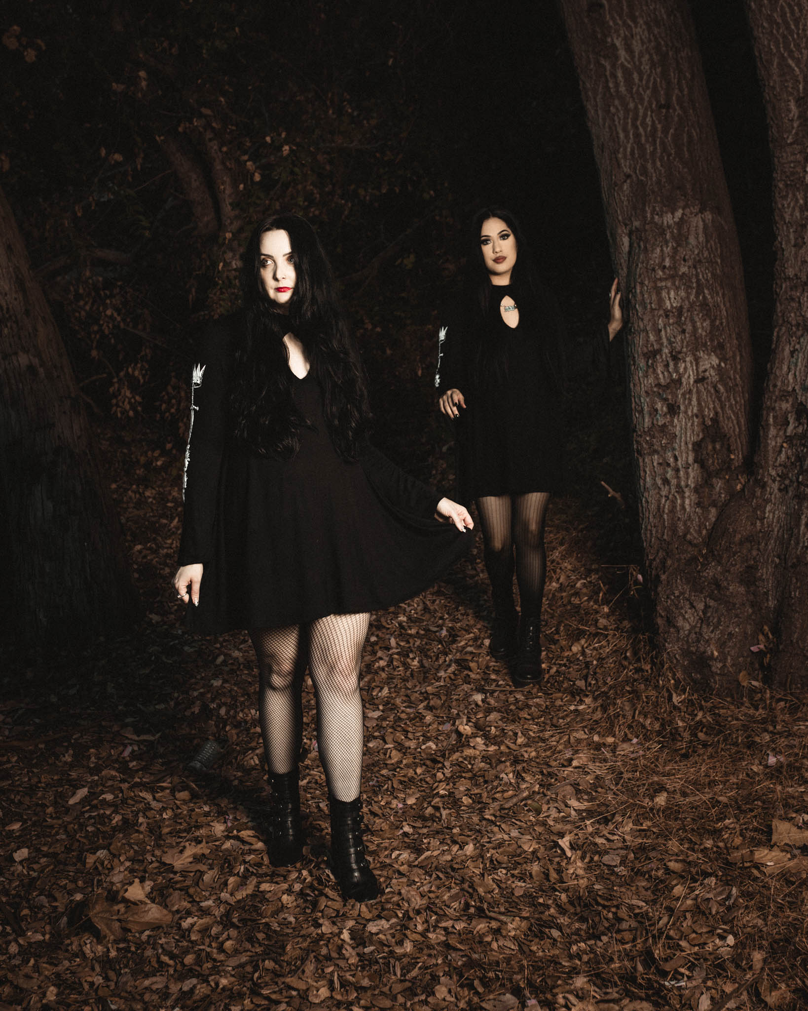 Wear This Crown Dress