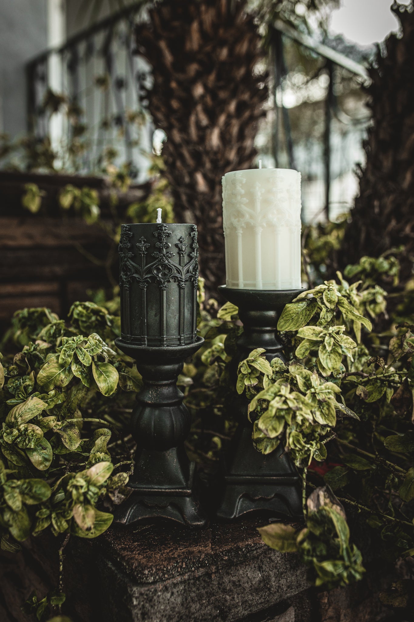 Cemetery Walks Candle- Low Stock!